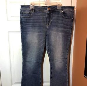American eagle plus size jeans
